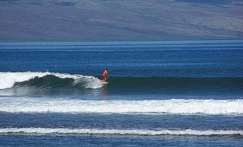 seedicksurf.com - Daily Hot shot - Maui Surf Report