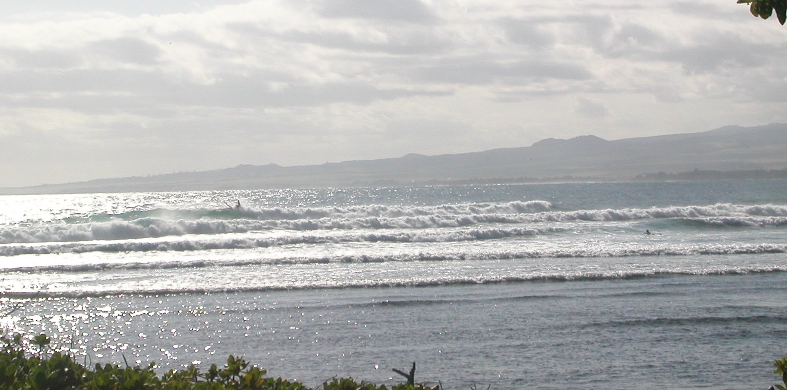 seedicksurf.com - Maui Daily Surf shots and surf report!!