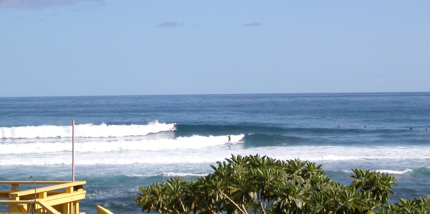 seedicksurf.com - Maui Daily Surf shots!!
