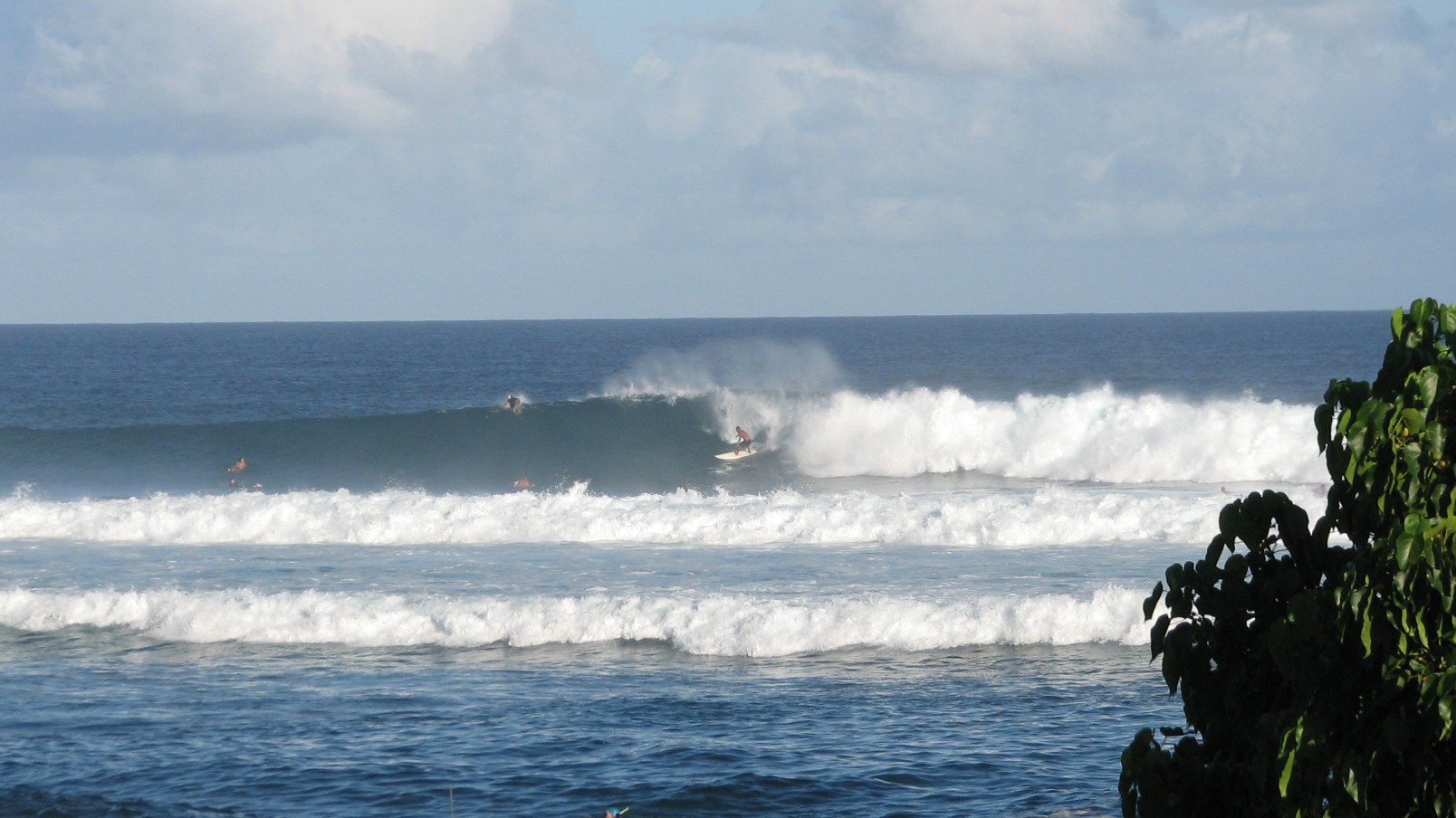 seedicksurf.com - Maui Surf Report and Photos