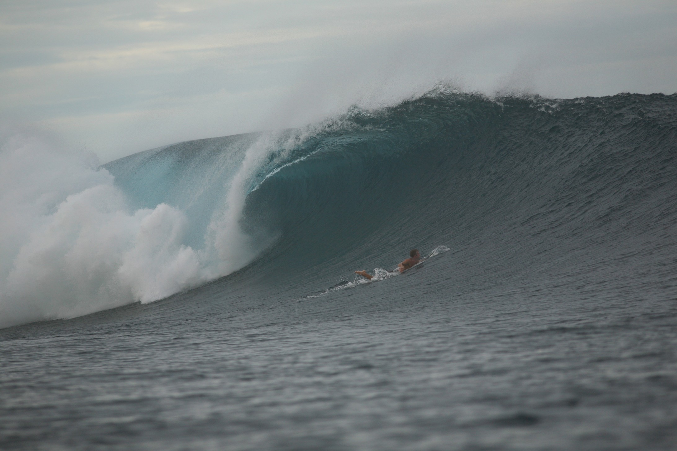 seedicksurf.com - Maui Surf Report and Photos